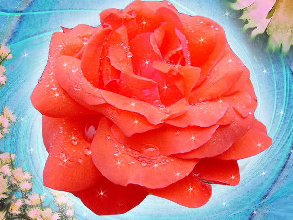 Асель Балкибекова