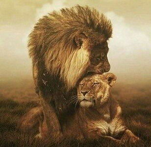 Баур Едрисов