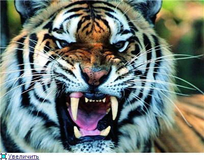 Жаслан Жаксыбаев