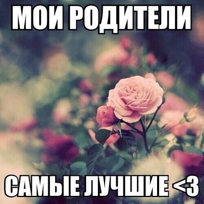 Ление Муратова