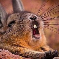 Татьяна Былинкина