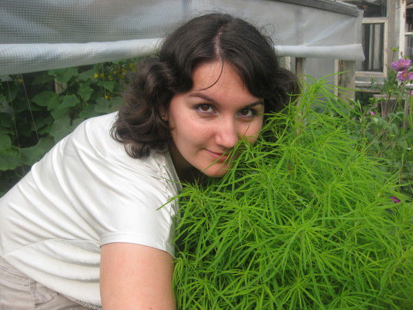 Вита Чебыкина