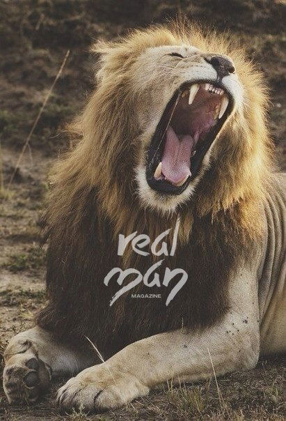 Владислав Глазков