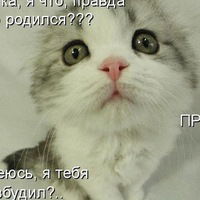 Света Мельничук