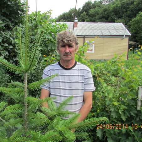 Сергей Захаров