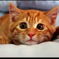 Антонина Ерёмина