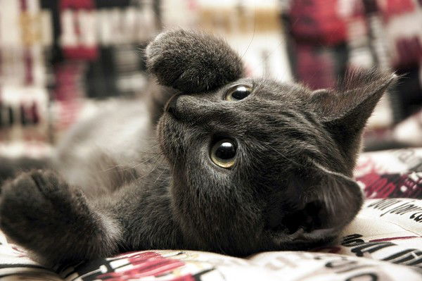 Ольга Иванова