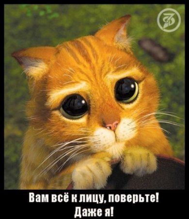 Илья Виноградов