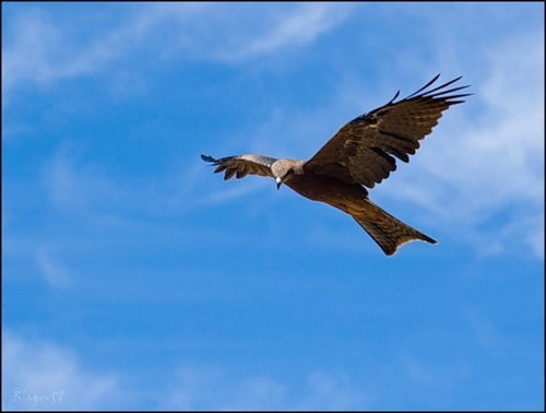 Александр О