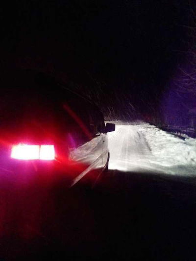 Александр Анепский