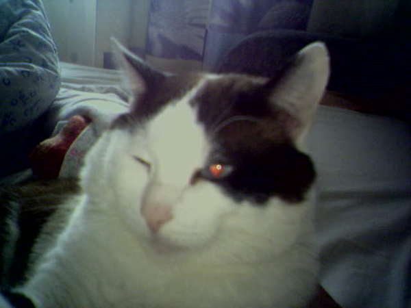 Борис Кудрявцев