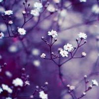 Екатерина Васильева