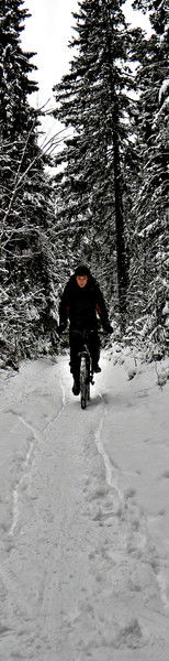 Макс Шаламов