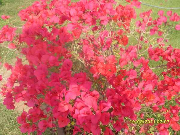 Татьяна Данченко