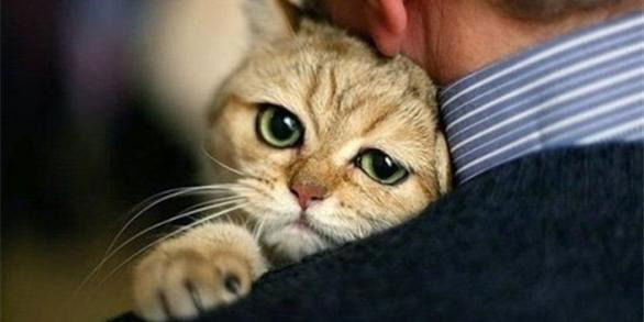 Неля Калинова