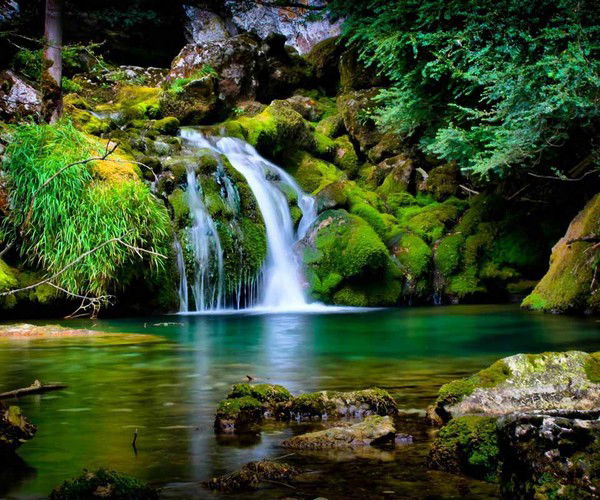 Жибек Мурзакматова