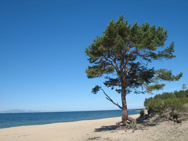 Евгений Громов