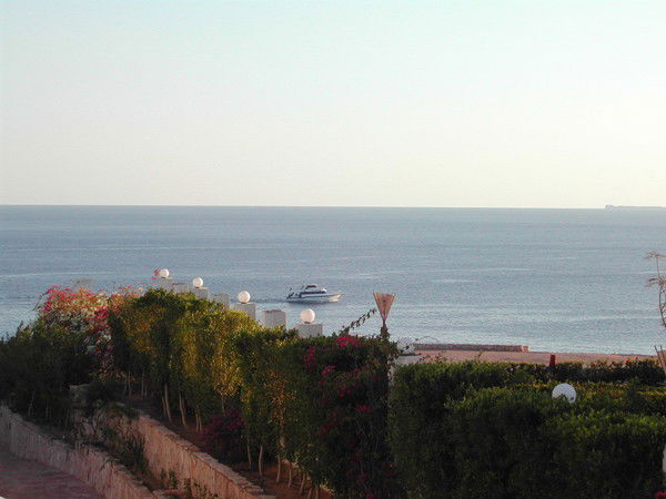 Игорь Киреев