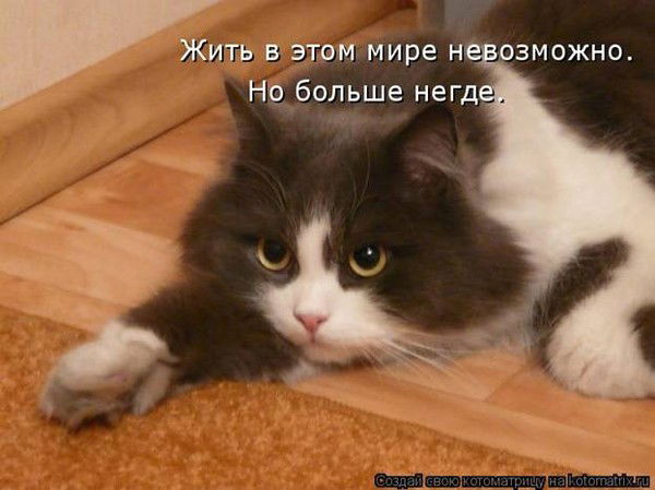 Елена Логинова