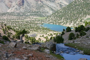 Чамшед Сафаров