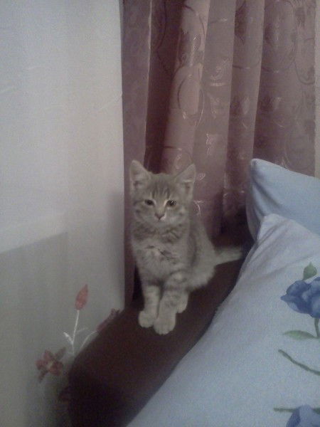 Наталья Анискович