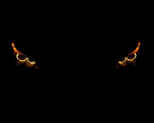 Дмитрий Ким