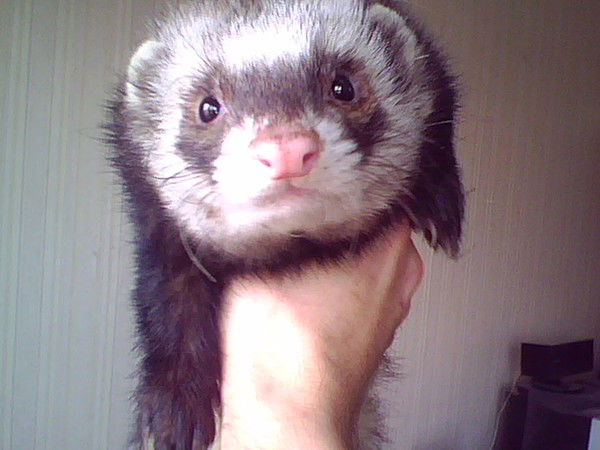 Алексей Кустов