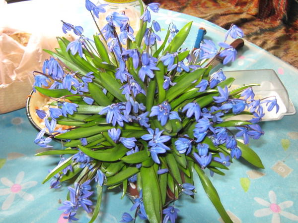 Светлана Усик