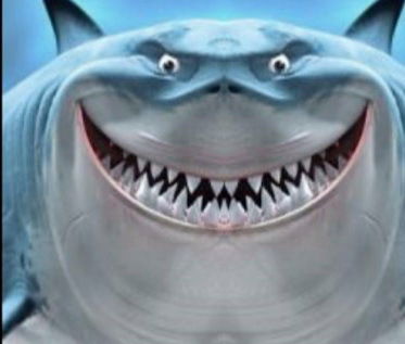 Николай Жигаев