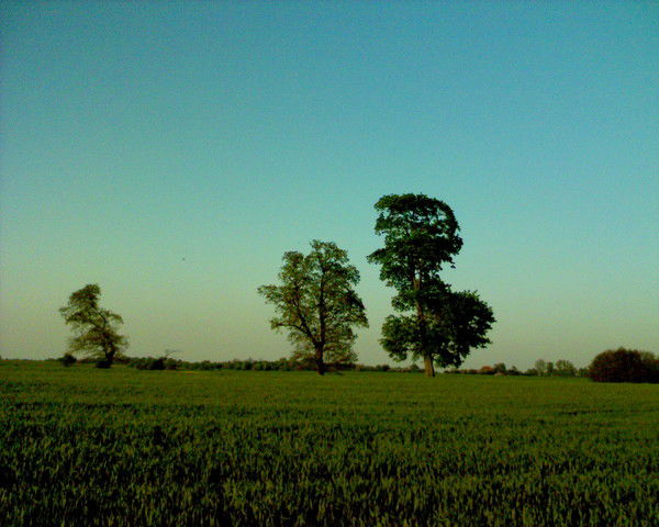 Иван Фадеев