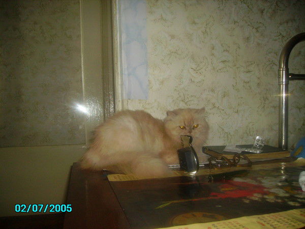 Надежда Андреева