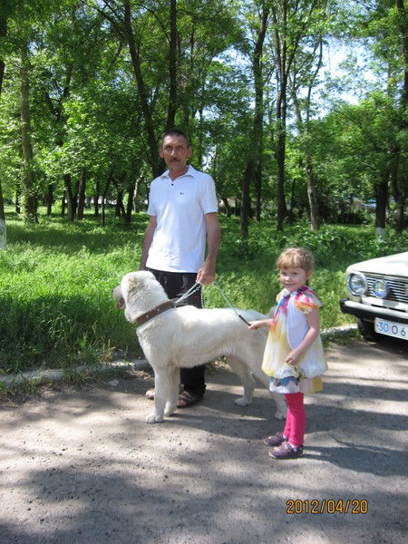 Сергей Бочагов