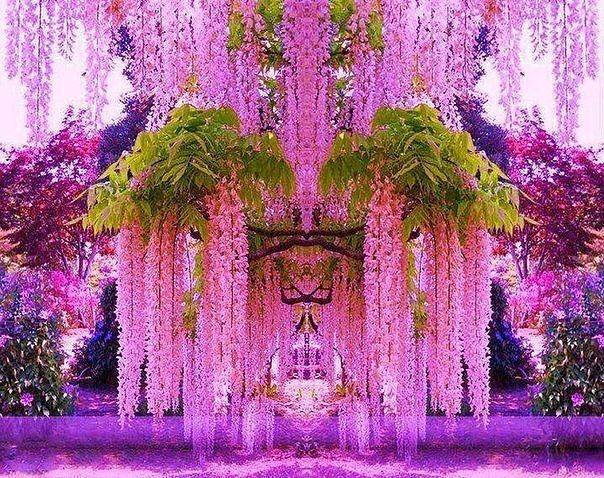 Марина Топчиева