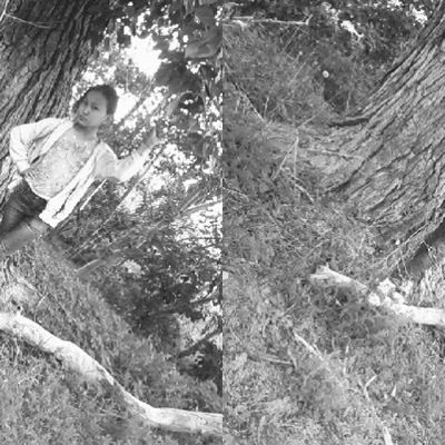 Азиза Жолдыбай