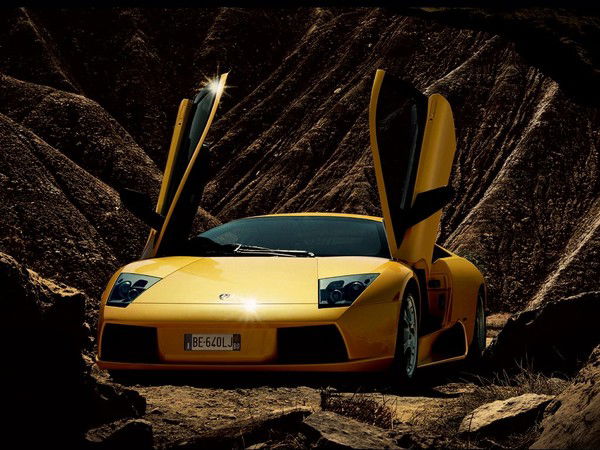 **************** ****************