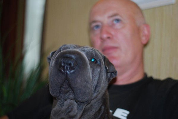 Алексей Заварзин