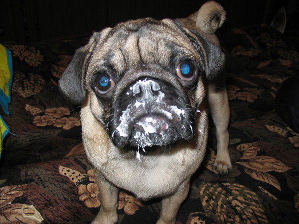 Александр Иванов