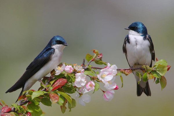 Карлыгаш Тастанбековна
