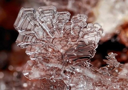 Любовь Жукова