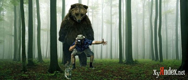 Прикол Андреевич