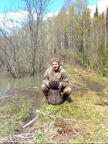 Олег Гавриш