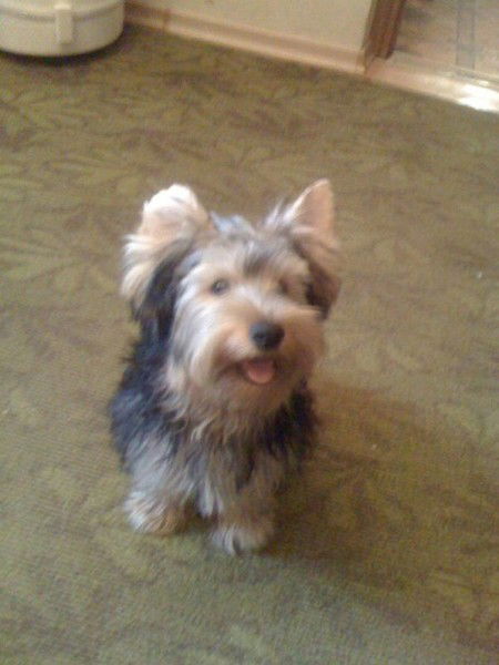 Машулик Измалкова