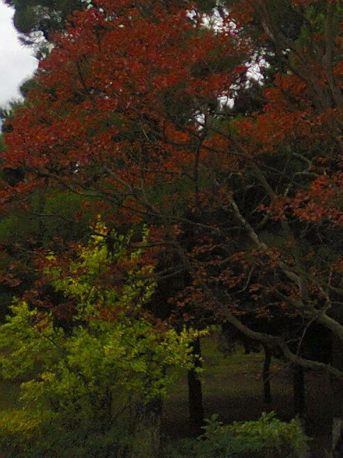 Отпорник Какойтов