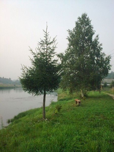 Александр Прокопьев