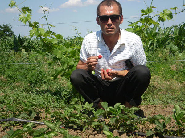 Александр Приходько