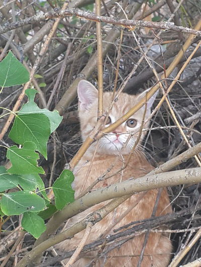 Наталья Кислицина