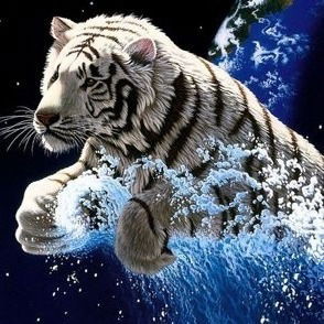 Дмитрий Гущин