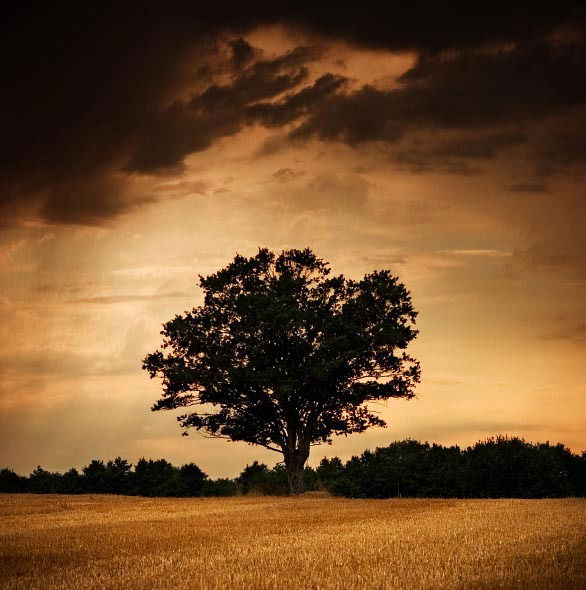 Виктор Майчук