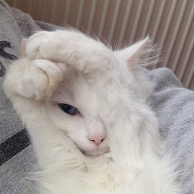 Валерия Ярушева