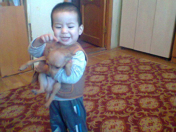 Секуалия Секуалико